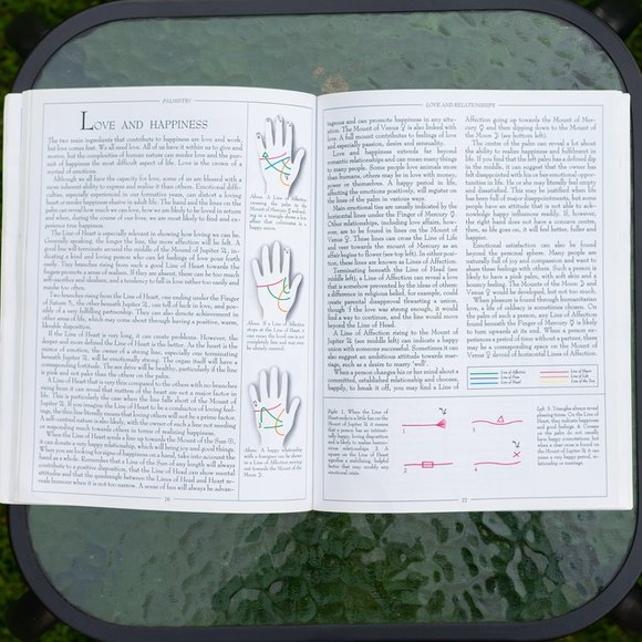 Book: Palmistry: How to Chart the Lines of Your Destiny - Picture 3 of 6